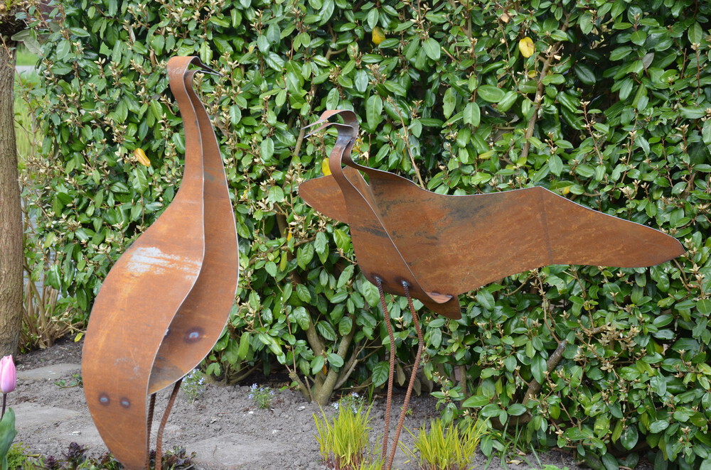 kraanvogel (staand, vrouwtje, zonder vleugels)